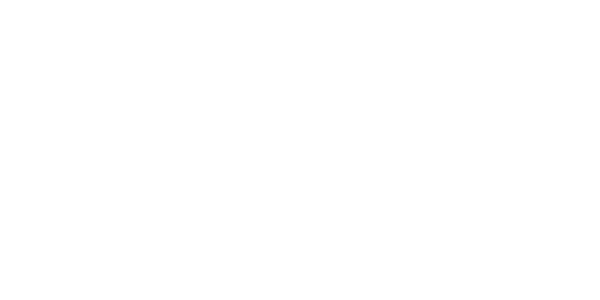 플래티넘 게이밍 logo
